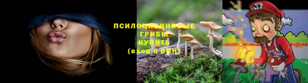 кокс Дмитров