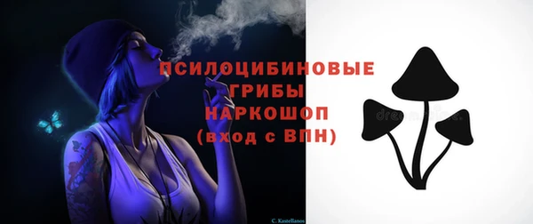 кокс Дмитровск