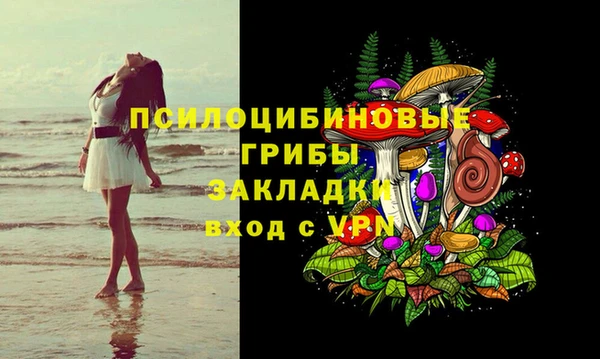 кокс Дмитров