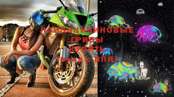 кокс Дмитров